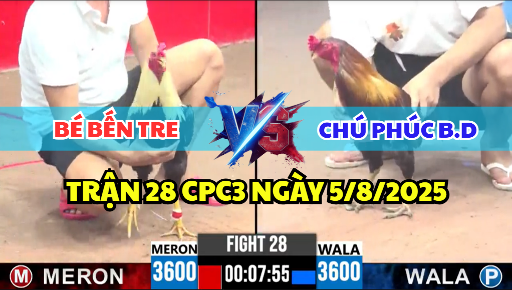 TRẬN 28 CPC3 NGÀY 5/8/2025 - CHÚ PHÚC BÌNH DƯƠNG NAY THUA TOÀN TẬP 8 trận 28 cpc3 ngày 5/8/2025 hôm nay giữa chú phúc bình dương và anh bé bến tre