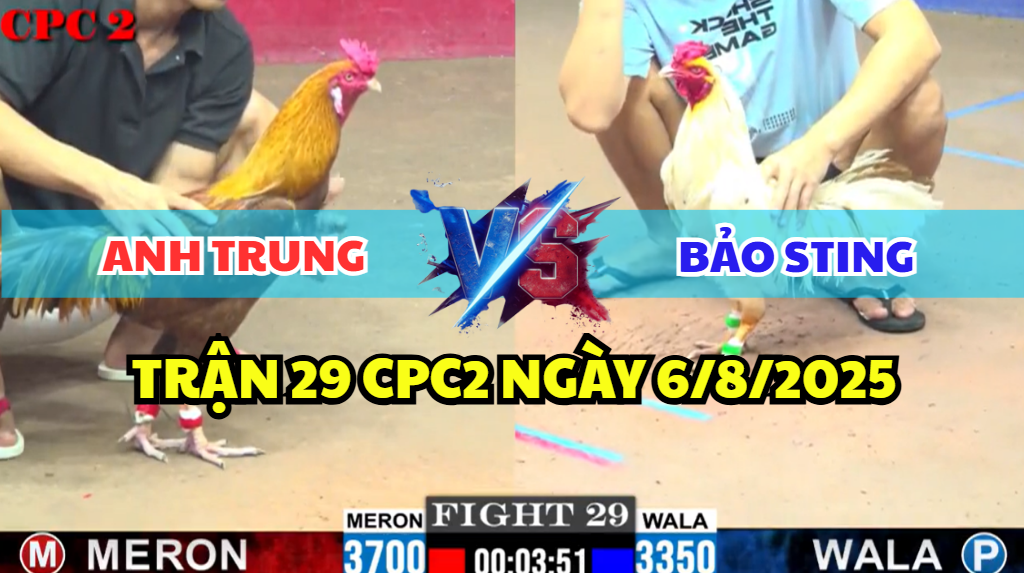 TRẬN 29 CPC2 NGÀY 6/8/2025 - BƯỚM HIỆU CỦA ANH BẢO STING CHẤP KHÉT HƠN 3 CHẤM 6 trận 29 cpc2 ngày 6/8/2025 hôm nay giữa bảo sting và anh trung