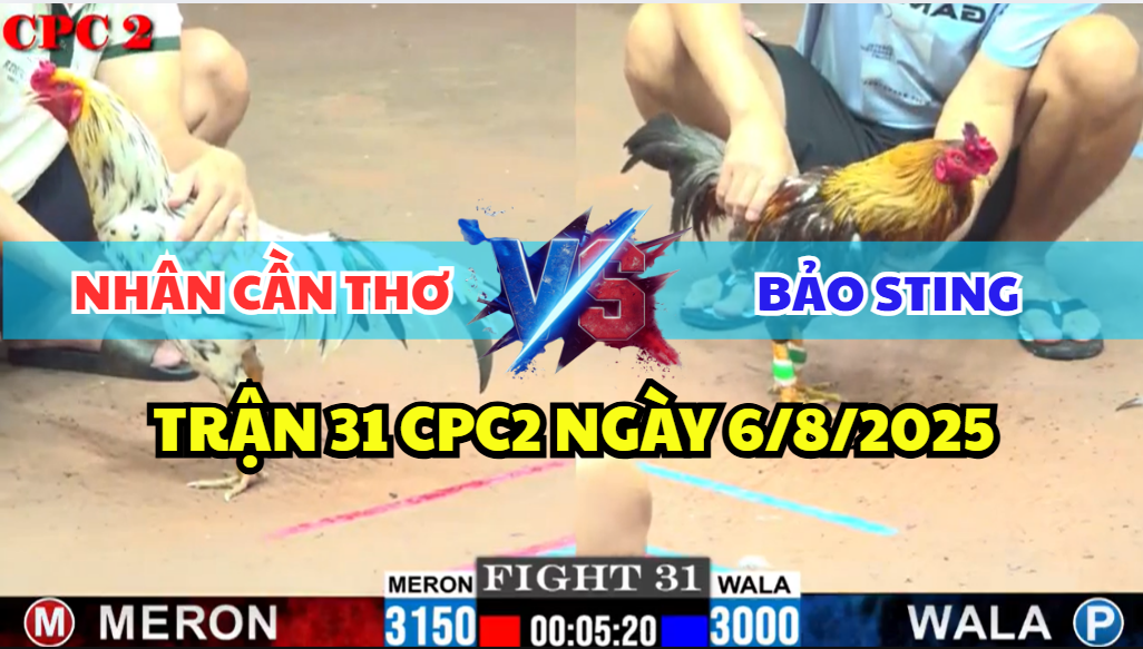 TRẬN 31 CPC2 NGÀY 6/8/2025 - ANH BẢO STING ĐỐI ĐẦU NHÂN CẦN THƠ 5 trận 31 cpc2 ngày 6/8/2025 hôm nay giữa bảo sting và nhân cần thơ