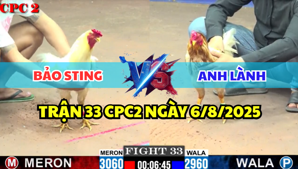 TRẬN 33 CPC2 NGÀY 6/8/2025 - ANH BẢO STING MANG 10 CON THÌ ĐI CẢ CHỤC 4 trận 33 cpc2 ngày 6/8/2025 hôm nay giữa bảo sting vs anh lành