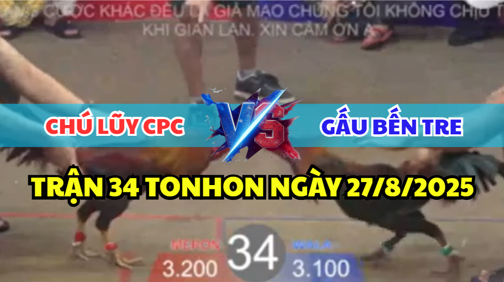 trận 34 bồ tonhon ngày 27/8/2025 hôm nay giữa chú lũy cpc và anh bé bến tre