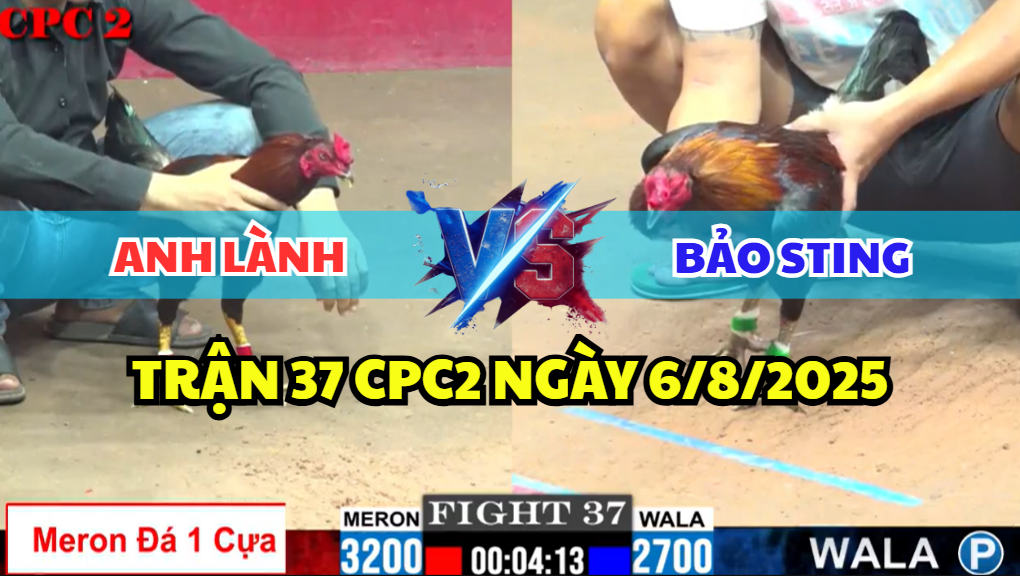 TRẬN 37 CPC2 NGÀY 6/8/2025 - ANH LÀNH ĐỐI ĐẦU BẢO STING 3 trận 37 cpc2 ngày 6/8/2025 hôm nay giữa bảo sting vs anh lành