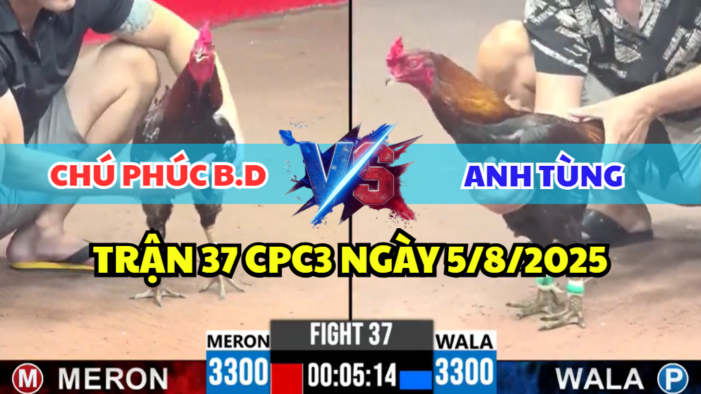 TRẬN 37 CPC3 NGÀY 5/8/2025 - ĐIỀU BÔNG CHÚ PHÚC BÌNH DƯƠNG ĐI BỤI 6 trận 37 cpc3 ngày 5/8/2025 hôm nay giữa chú phúc bình dương và anh tùng
