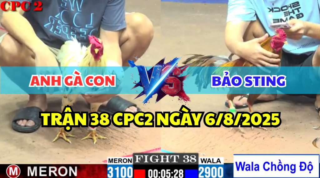 TRẬN 38 CPC2 NGÀY 6/8/2025 - KHÉT ANH BẢO STING CHƯA KỊP LÊN LỚP 2 trận 38 cpc2 ngày 6/8/2025 hôm nay giữa bảo sting và anh gà con