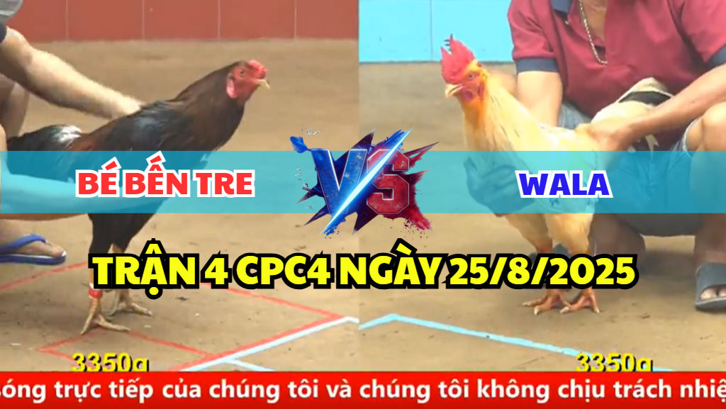 TRẬN 4 CPC4 NGÀY 25/8/2025 - ANH BÉ BẾN TRE LÀM GỎI GÀ BƯỚM 6 trận 4 cpc4 ngày 25/8/2025 anh bé bến tre hôm nay