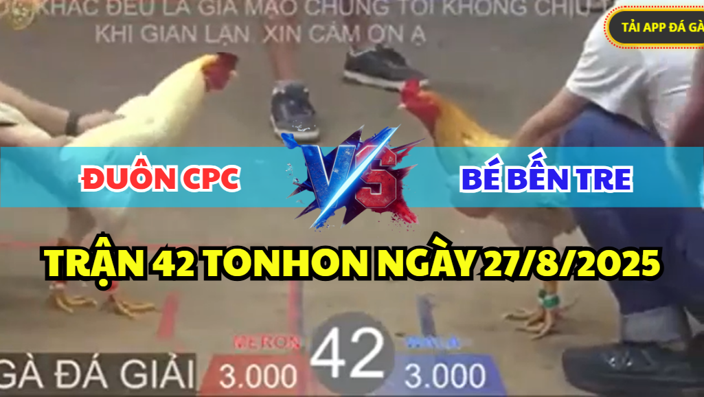 trận 42 bồ tonhon ngày 27/8/2025 hôm nay của anh bé bến tre