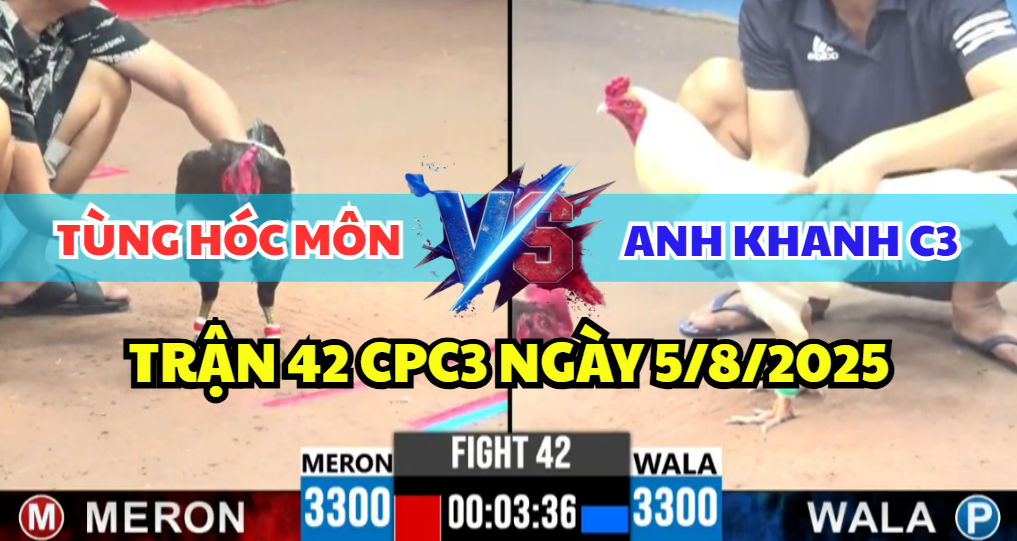 TRẬN 42 CPC3 NGÀY 5/8/2025 - ANH KHANH C3 GIAO LƯU 2 CON ĐI CẢ CẶP 4 trận 42 cpc3 ngày 5/8/2025 hôm nay giữa anh khanh c3 và tùng hóc môn