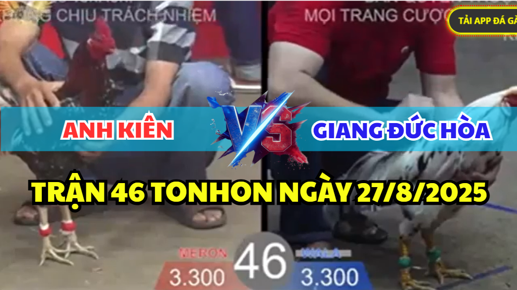 trận 46 bồ tonhon ngày 27/8/2025 hôm nay của anh giang đức hòa
