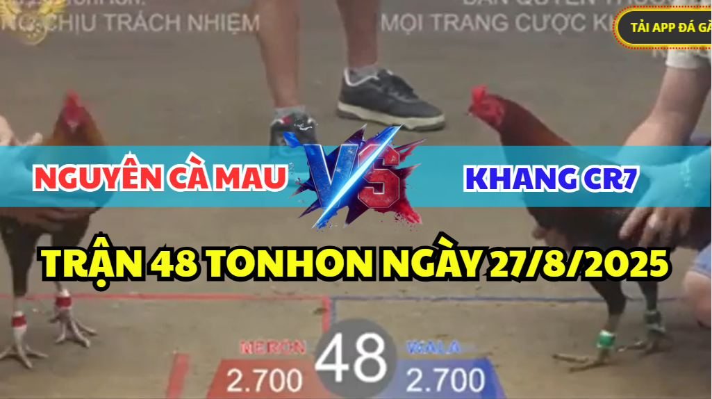 trận 48 bồ tonhon ngày 27/8/2025 hôm nay