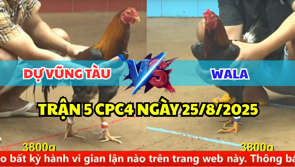 TRẬN 5 CPC4 NGÀY 25/8/2025 - ANH DỰ VŨNG TÀU BỊ PHẢN NHỮNG PHÚT CUỐI 5 trận 5 cpc4 ngày 25/8/2025 dự vũng tàu hôm nay