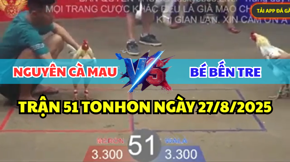 trận 51 bồ tonhon ngày 27/8/2025 hôm nay giữa anh bé bến tre vs anh nguyên cà mau