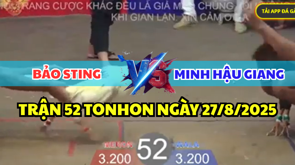 trận 52 bồ tonhon ngày 27/8/2025 hôm nay giữa bảo sting vs minh hậu giang