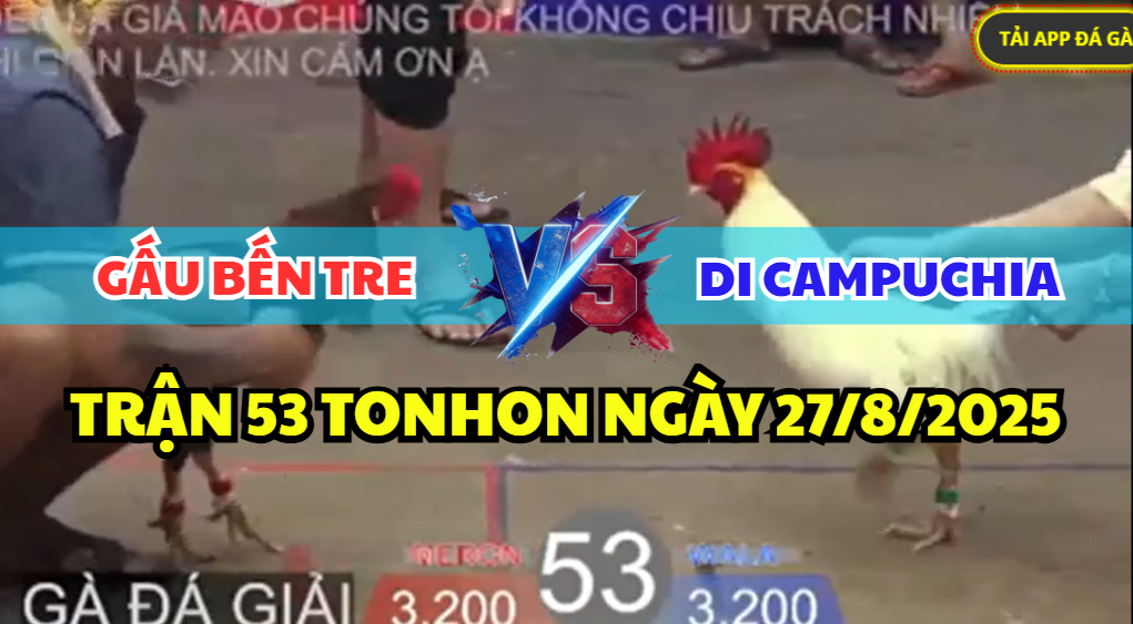 trận 53 bồ tonhon ngày 27/8/2025 hôm nay