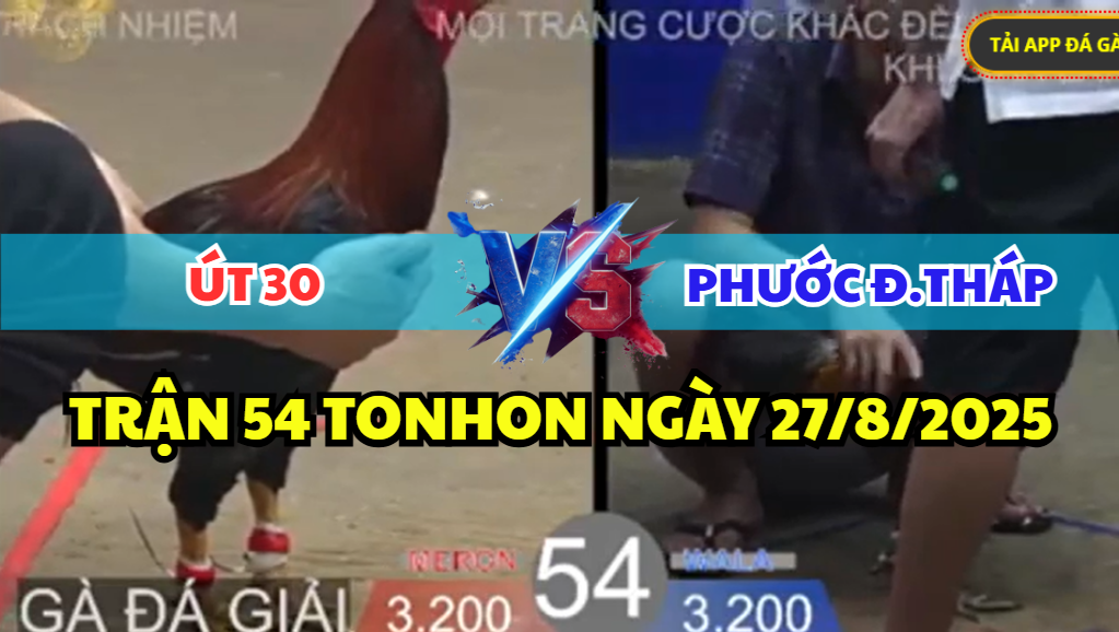 trận 54 bồ tonhon ngày 27/8/2025 hôm nay bảo sting thả gà