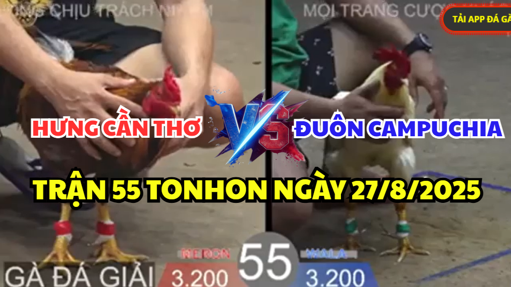 TRẬN 55 BỒ TONHON NGÀY 27/8/2025 - ANH HƯNG CẦN THƠ TIẾP ANH ĐUÔN CPC 4 trận 55 bồ tonhon ngày 27/8/2025 hôm nay giữa hưng cần thơ vs đuôn cpc