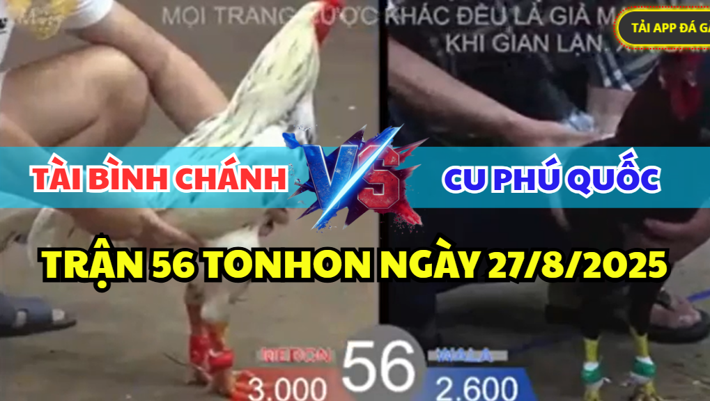 trận 56 bồ tonhon ngày 27/8/2025 hôm nay