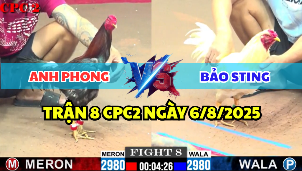 TRẬN 8 CPC2 NGÀY 6/8/2025 - IDOL BẢO STING TIẾP TỤC ĐI BỤI CÙNG GÀ ÚA 10 trận 8 cpc2 ngày 6/8/2025 hôm nay giữa bảo sting và anh phong