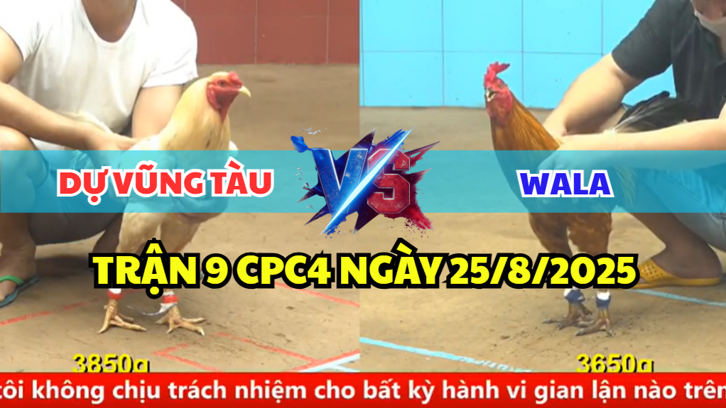 TRẬN 9 CPC4 NGÀY 25/8/2025 - BƯỚM THÁI ANH DỰ VŨNG TÀU LÀM GỎI KHÉT CỌP 4 trận 9 cpc4 ngày 25/8/2025 dự vũng tàu hôm nay