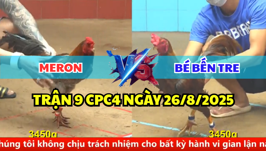 TRẬN 9 CPC4 NGÀY 26/8/2025 - GÀ XÁM KHIẾN KHÉT CỌP ANH BÉ ÓI STING 9 trận 9 cpc4 ngày 26/8/2025 bé bến tre hôm nay