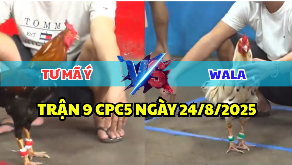 TRẬN 9 CPC5 NGÀY 24/8/2025 - ĐIỀU BÔNG ANH TƯ MÃ Ý CỰA NGHIỆT 9 trận 9 cpc5 ngày 24/8/2025 tư mã ý hôm nay