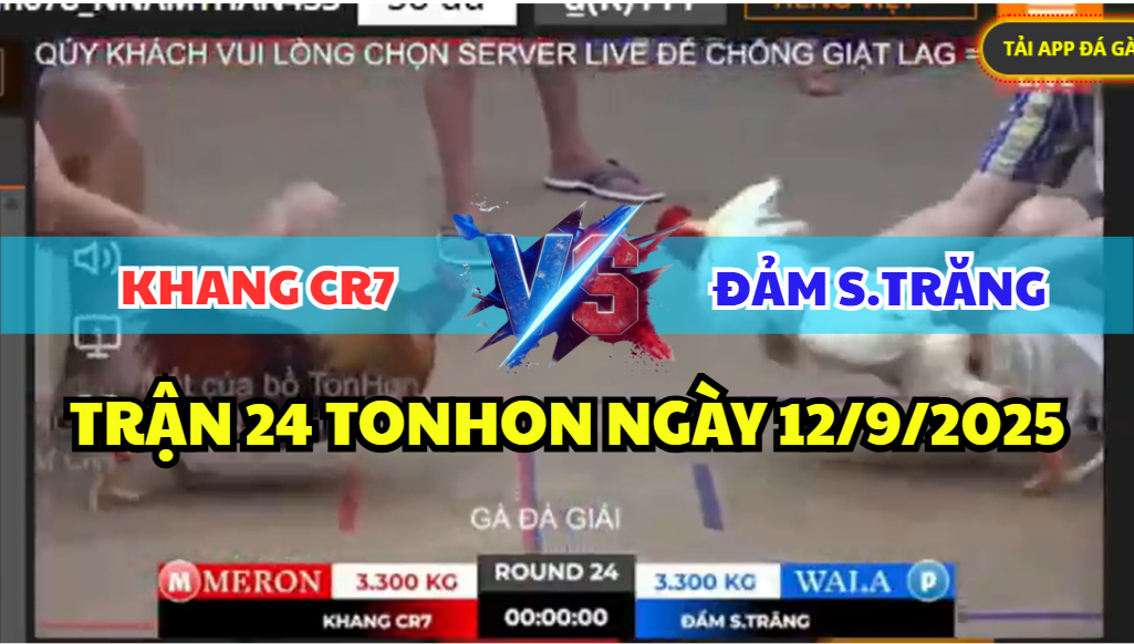 trận 24 tonhon ngày 12/9/2025 hôm nay giữa khang cr7 vs đảm sóc trăng