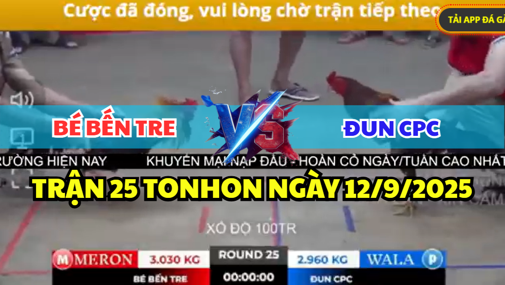 trận 25 tonhon ngày 12/9/2025 hôm nay