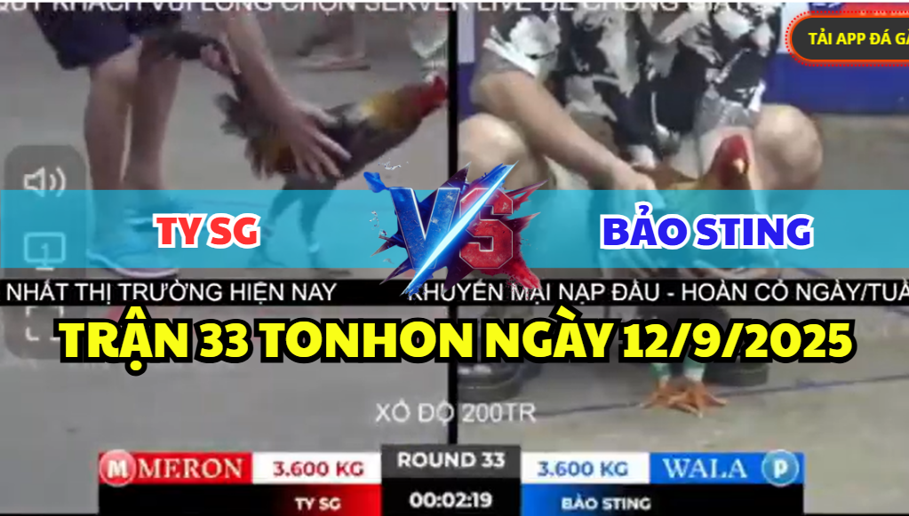 TRẬN 33 TONHON NGÀY 12/9/2025 - BẢO STING ĐỐI ĐẦU TY SG XỔ 200 7 trận 33 tonhon ngày 12/9/2025 hôm nay giữa bảo sting và ty sg