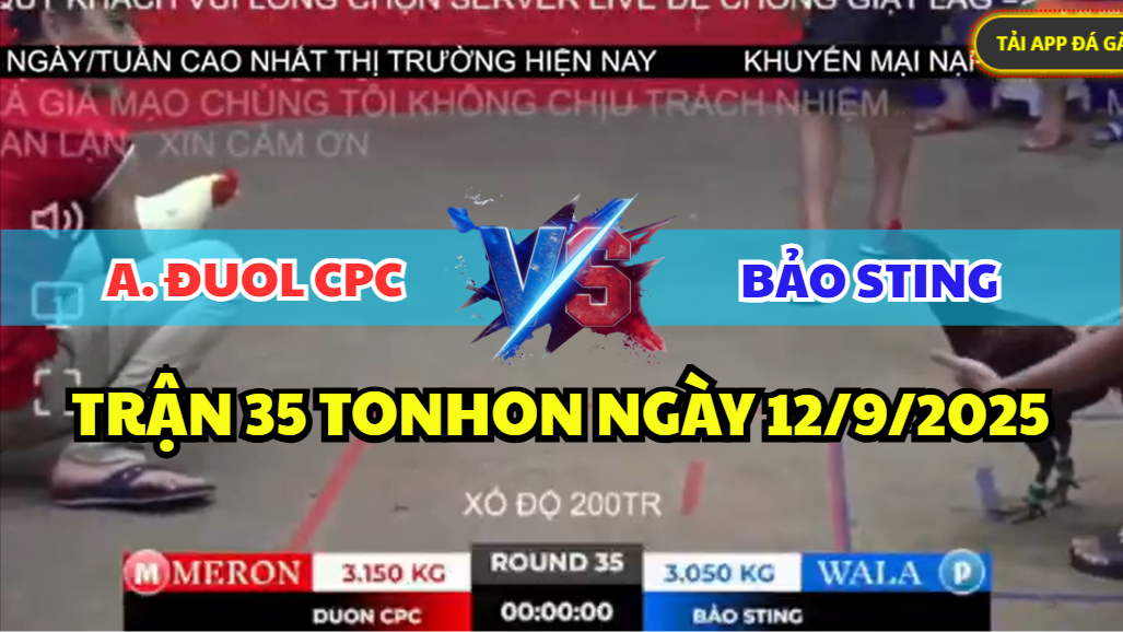 TRẬN 35 TONHON NGÀY 12/9/2025 - ANH BẢO STING TIẾP ANH ĐUOL CPC 2 XỊ 6 trận 35 tonhon ngày 12/9/2025 hôm nay giữa bảo sting vs anh đuol cpc