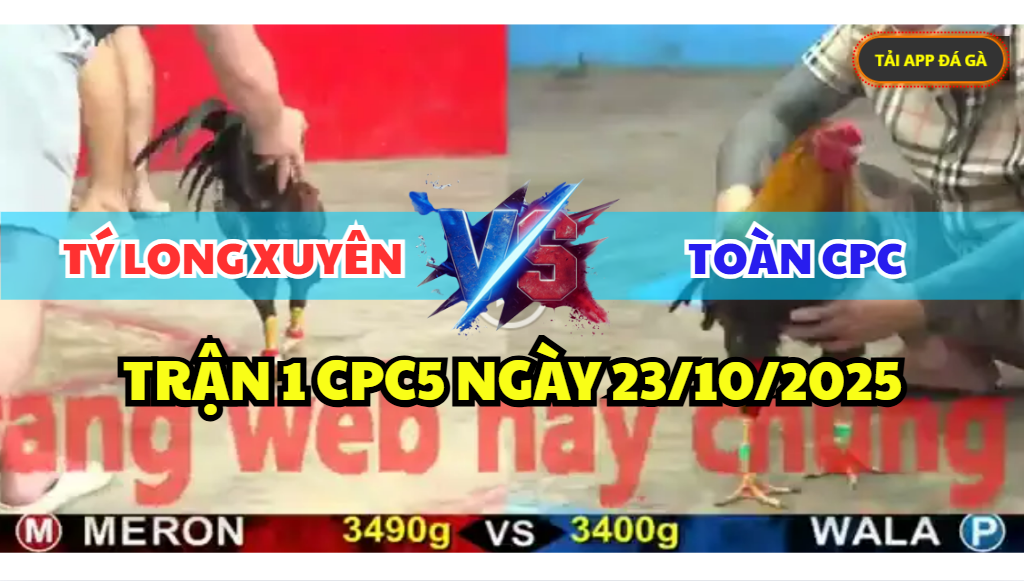 TRẬN 1 CPC5 NGÀY 23/10/2025 - TÝ LONG XUYÊN VS TOÀN CPC XỔ 100 9 trận 1 cpc5 ngày 23/10/2025 hôm nay