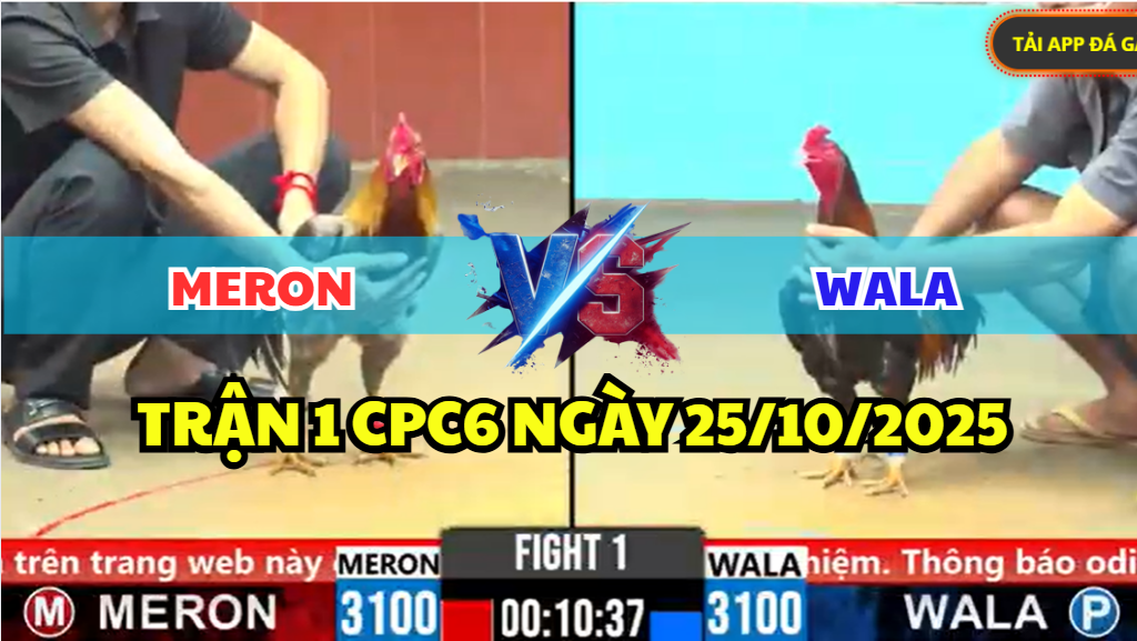 TRẬN 1 CPC6 NGÀY 25/10/2025 - XÁM THẦN CHÂN GÕ NHƯ BÚA 5 trận 1 cpc6 ngày 25/10/2025 hôm nay