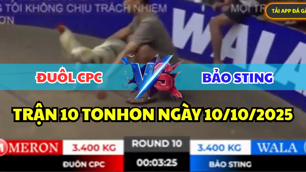 TRẬN 10 TONHON NGÀY 10/10/2025 - BẢO STING LIÊN TIẾP HẠ ĐO VÁN ANH ĐUÔL CPC 9 trận 10 tonhon ngày 10/10/2025 hôm nay giữa bảo sting vs đuôl cpc