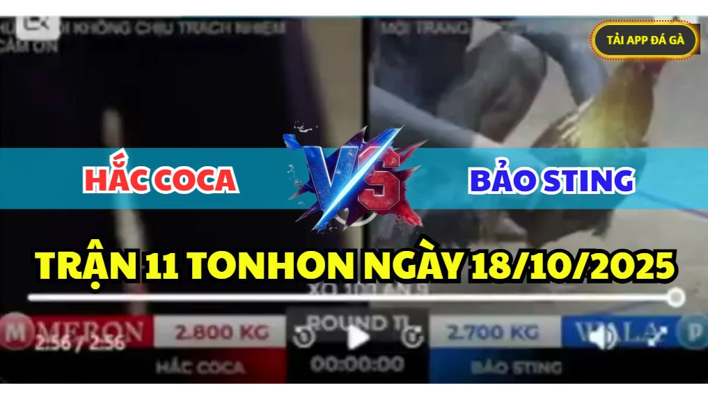 TRẬN 11 TONHON NGÀY 18/10/2025 - LẠI LÀ ANH HẮC COCA CẢN BƯỚC ANH BẢO STING 2 trận 11 tonhon ngày 18/10/2025 hôm nay giữa anh hắc coca vs bảo sting