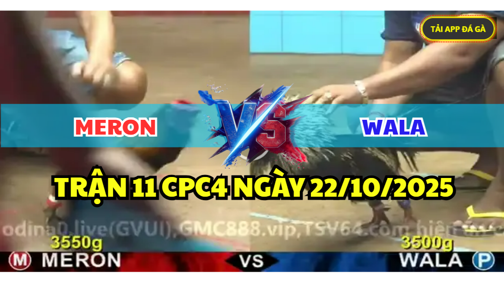TRẬN 12 CPC4 NGÀY 22/10/2025 - CHUỐI Ô MẶT LÌ TÁP THẲNG ĐIỀU KHÔNG CÓ CỬA 9 trận 12 cpc4 ngày 22/10/2025 hôm nay