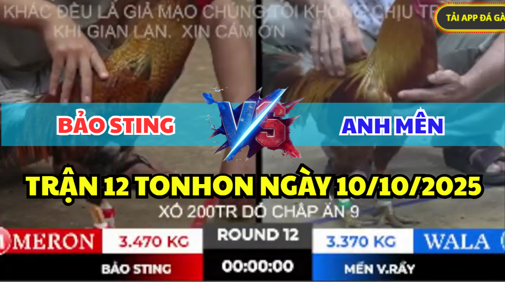 TRẬN 12 TONHON NGÀY 10/10/2025 - BẢO STING ĐỐI ĐẦU HẠ ĐẸP ANH MỀN LỤM XỔ 200 8 trận 12 tonhon ngày 10/10/2025 hôm nay giữa bảo sting vs anh mền vàng rầy