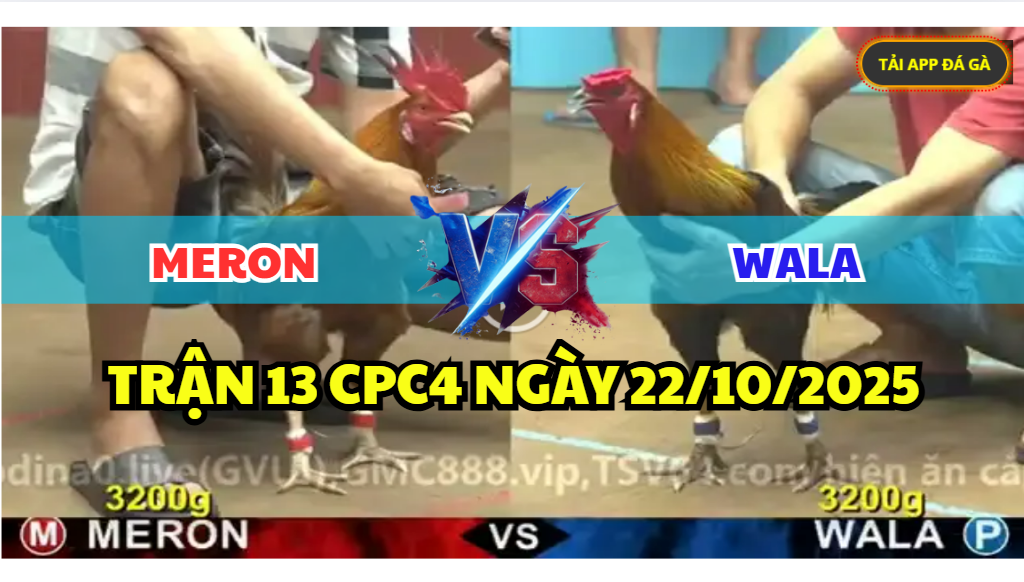 TRẬN 13 CPC4 NGÀY 22/10/2025 - KHÉT CHÂN TRẮNG HẠ ĐO VÁN ĐIỀU VÀNG 8 trận 13 cpc4 ngày 22/10/2025 hôm nay