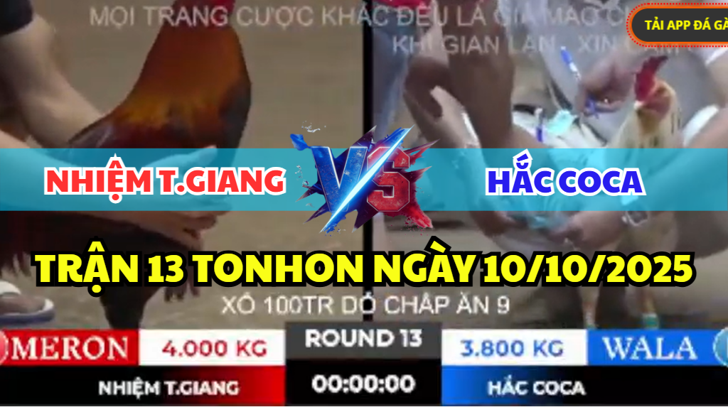 TRẬN 13 TONHON NGÀY 10/10/2025 - ANH NHIỆM TIỀN GIANG LỤM 200 TỪ TAY ANH HẮC COCA 8 trận 13 tonhon ngày 10/10/2025 hôm nay giữa anh nhiệm tiền giang vs hắc coca