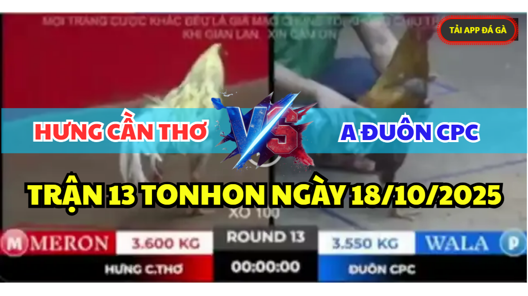 TRẬN 13 TONHON NGÀY 18/10/2025 - ANH HƯNG CẦN THƠ ĐỐI ĐẦU ANH ĐUÔN CPC 2 trận 13 tonhon ngày 18/10/2025 hôm nay giữa anh hưng cần thơ vs anh đuôn cpc