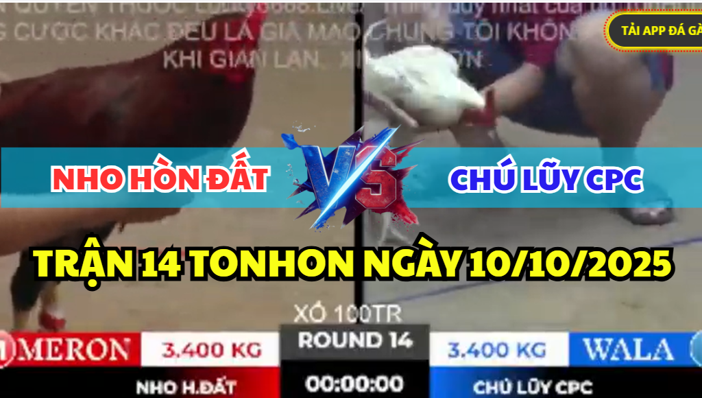 TRẬN 14 TONHON NGÀY 10/10/2025 - ANH NHO HÒN ĐẤT VS CHÚ LŨY CPC 7 trận 14 tonhon ngày 10/10/2025 hôm nay giữa nho hòn đất vs chú lũy cpc