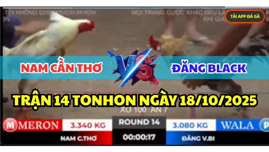 TRẬN 14 TONHON NGÀY 18/10/2025 - ANH NAM CẦN THƠ VS ANH ĐĂNG BLACK 3 trận 14 tonhon ngày 18/10/2025 hôm nay giữa anh đăng black vs anh nam cần thơ