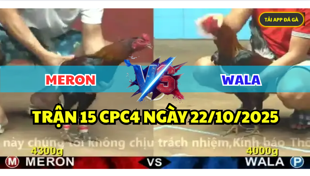 TRẬN 15 CPC4 NGÀY 22/10/2025 - CHẤP 3 CHẤM VẪN WIN 6 trận 15 cpc4 ngày 22/10/2025 hôm nay