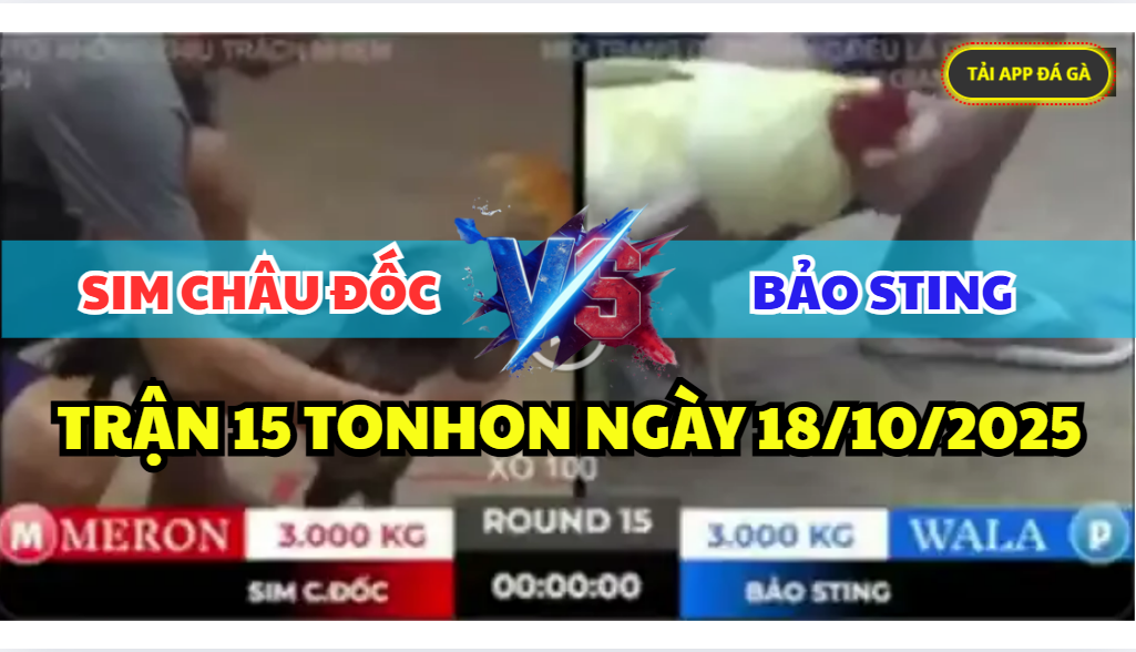 TRẬN 15 TONHON NGÀY 18/10/2025 - ANH BẢO STING VS ANH SIM CHÂU ĐỐC XỔ 100 10 trận 15 tonhon ngày 18/10/2025 hôm nay giữa anh bảo sting vs anh sim châu đốc