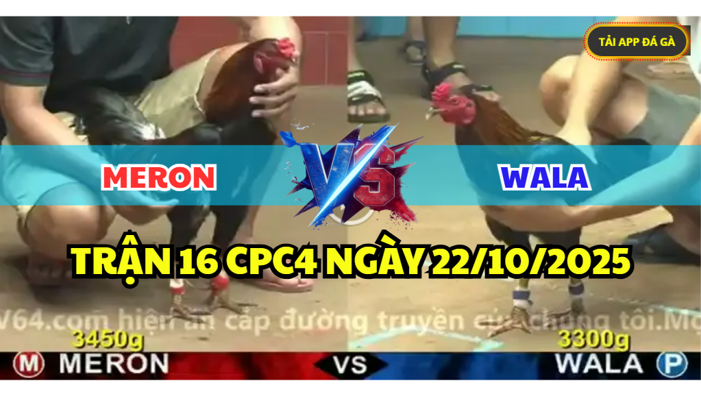 TRẬN 16 CPC4 NGÀY 22/10/2025 - ĐIỀU CỌP LẮC MẶT QUÁ CAY 5 trận 16 cpc4 ngày 22/10/2025 hôm nay