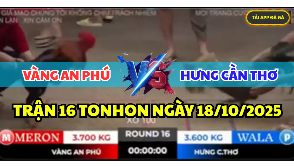 TRẬN 16 TONHON NGÀY 18/10/2025 - ANH HƯNG CẦN THƠ VS ANH VÀNG AN PHÚ 1 trận 16 tonhon ngày 18/10/2025 hôm nay giữa anh hưng cần thơ vs anh vàng an phú
