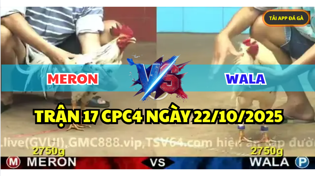 TRẬN 17 CPC4 NGÀY 22/10/2025 - BƯỚM CỌP RA CHÂN ĐỐI THỦ ÓI STING 4 trận 17 cpc4 ngày 22/10/2025 hôm nay