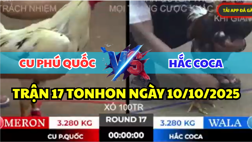 TRẬN 17 TONHON NGÀY 10/10/2025 - ANH CU PHÚ QUỐC ĐỐI ĐẦU ANH HẮC COCA 5 trận 17 tonhon ngày 10/10/2025 hôm nay giữa cu phú quốc vs hắc coca