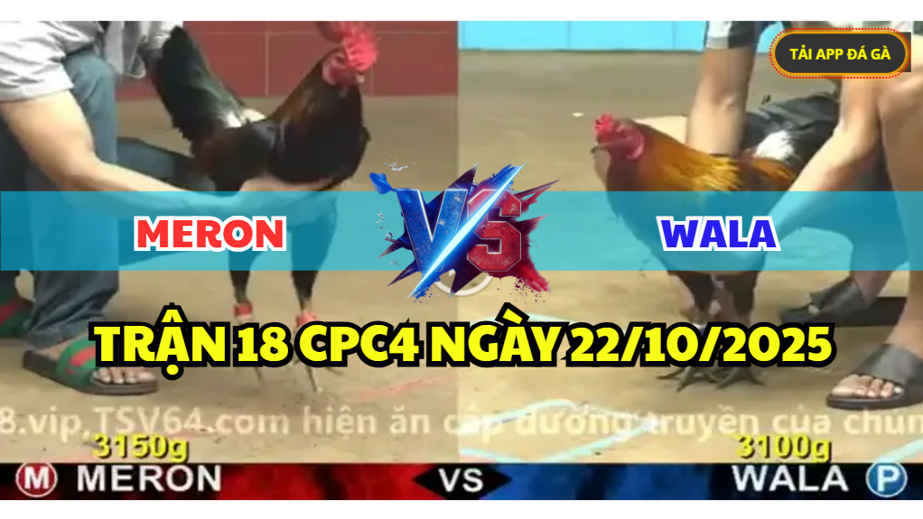 TRẬN 18 CPC4 NGÀY 22/10/2025 - ĐIỀU ĐỎ ĐỂ THUA ĐÁNG TIẾC PHẢN 3 trận 18 cpc4 ngày 22/10/2025 hôm nay