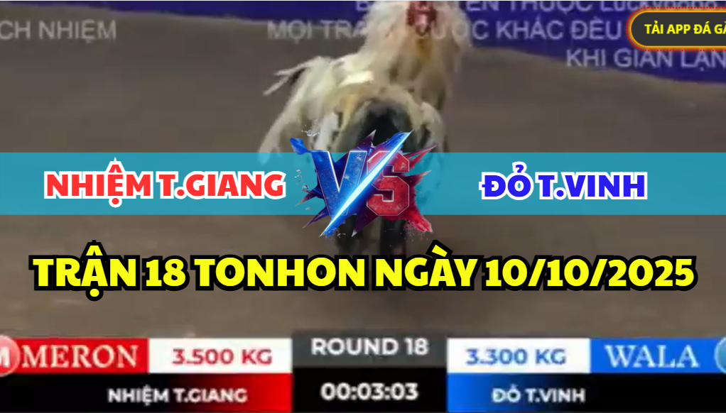 TRẬN 18 TONHON NGÀY 10/10/2025 - ANH NHIỆM ĐỐI ĐẦU ANH ĐỎ TRÀ VINH 4 trận 18 tonhon ngày 10/10/2025 hôm nay giữa nhiệm tiền giang vs đỏ trà vinh