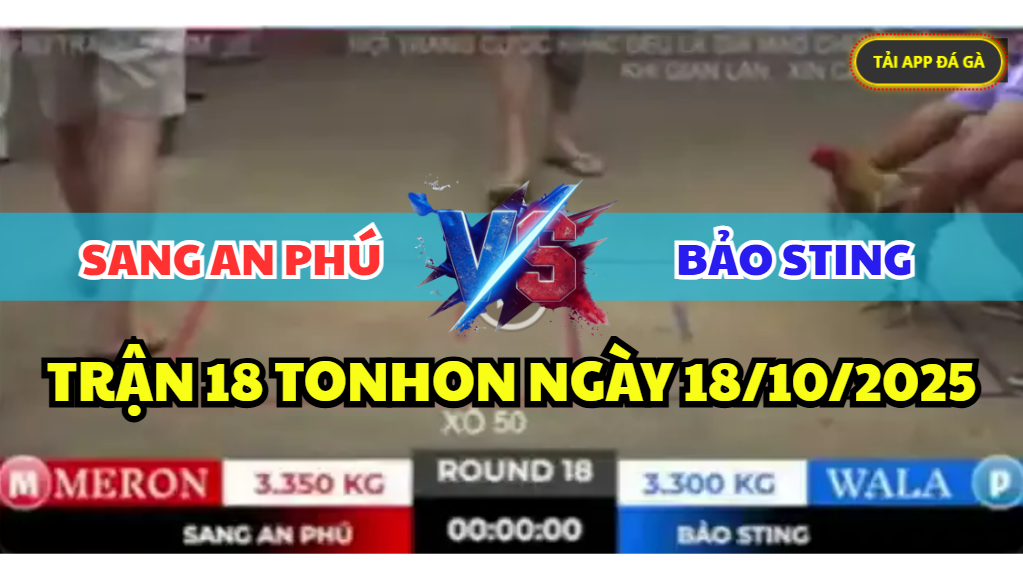 TRẬN 18 TONHON NGÀY 18/10/2025 - BẢO STING VS ANH SANG AN PHÚ 9 trận 18 tonhon ngày 18/10/2025 hôm nay giữa bảo sting vs anh sang an phú