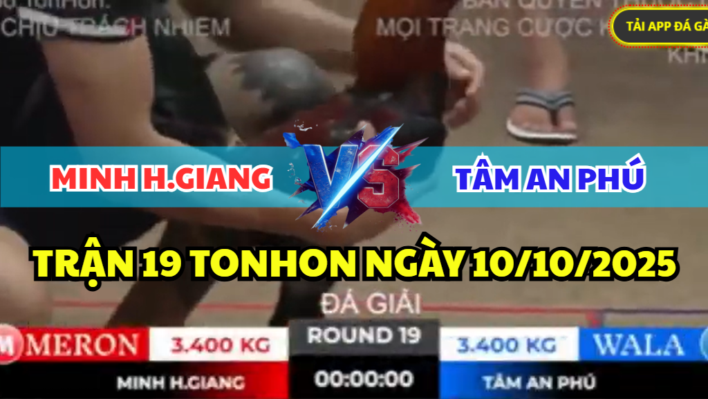 TRẬN 19 TONHON NGÀY 10/10/2025 - MINH HẬU GIANG ĐỐI ĐẦU TÂM AN PHÚ 3 trận 19 tonhon ngày 10/10/2025 hôm nay giữa minh hậu giang vs tâm an phú