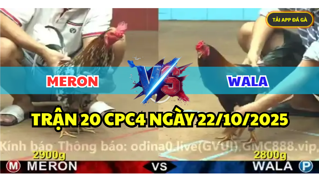 TRẬN 20 CPC4 NGÀY 22/10/2025 - BÔNG ĐÁ ĐIỀU LỌT CÂY TỐC CHẠY 2 trận 20 cpc4 ngày 22/10/2025 hôm nay